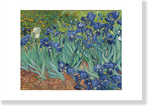 Irises - Van Gogh